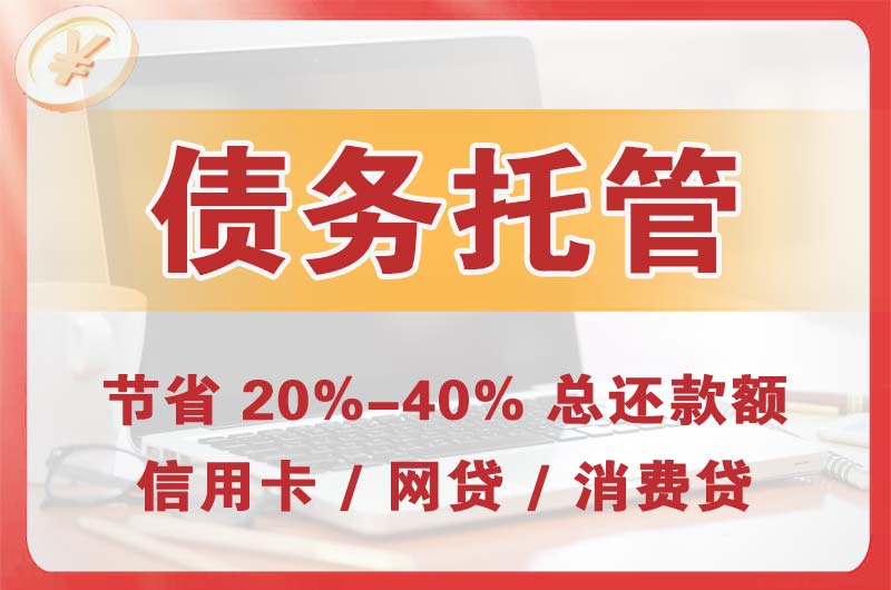 毛集实验区债务托管